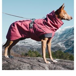 Hurtta Expedition Insulated Dog Parka 20inch